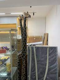 giraffes furniture home living
