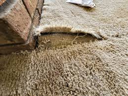 get professional torn carpet repair
