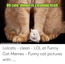 For all the men and women who are dating or are in relationships, you'll be able to relate to these funny relationship memes probably in more ways than one. Oh Cute Dinner Is Cleaningitself Icanhascheezeurger Com Lolcats Clean Lol At Funny Cat Memes Funny Cat Pictures With Cute Meme On Me Me