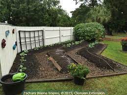 Mounded Raised Beds Without Sides Are