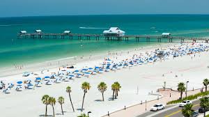 clearwater beach real florida adventures