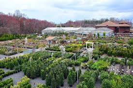 The Wellington Garden Centre Google