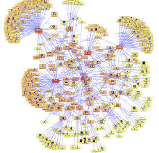 Social Network Analysis Sna Software With Sentinel
