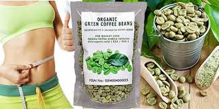 Image result for Green Coffee Bean