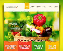 Agriculture Whole Foods Organic Market Wordpress Theme