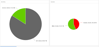 Highcharter Pie Chart Different Size Stack Overflow