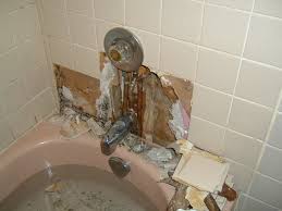 Dirty Bathroom Water Damage Repair