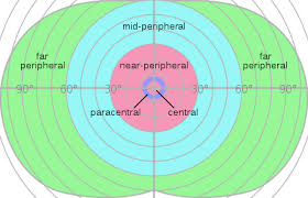 Peripheral Vision Wikiwand
