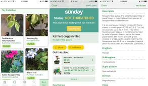 Plantnet is available for both android and ios. The Best Flower And Plant Identifier Apps For Iphone