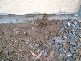 Concrete Foundation Home From Termites