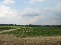 property tax breaks for farms in nc a