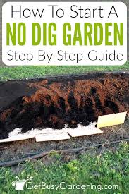 No Dig Gardening 101 How To Start A No
