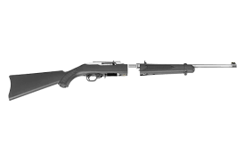 ruger 10 22 takedown project