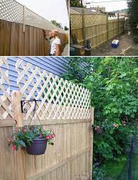 The Backyard Fence Is Too Low Add A