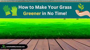 How To Make Your Grass Greener in No Time! - Sustainability Success