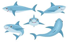 cartoon sharks images browse 69 592