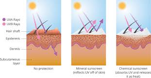 what makes a good sunscreen here is