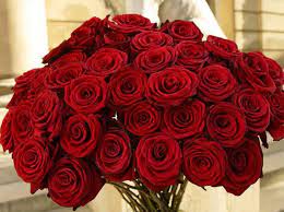 Setiap warna bunga mawar mewakili ekspresi dan perasaan yang berbeda. Arti Dan Makna Bunga Mawar Berbagai Warna Bibitbunga Com