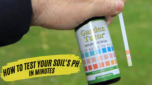 how to test your soil s ph at home