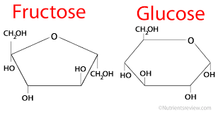 fructose malabsorption low fructose t