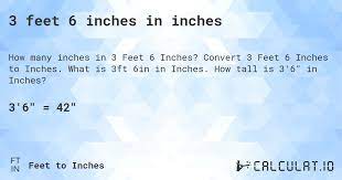 3 6 How Much Inches gambar png