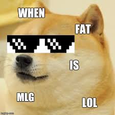 Finally able to find employment. Doge Meme Imgflip
