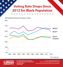 voter turnout for non hispanic black