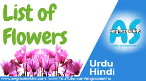 urdu hindi meaning flowers