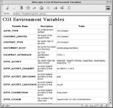 environment variables cgi programming