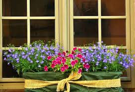 Planting Window Boxes Ready For A