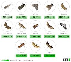 ets fixr com cost guides moth extermination mot