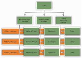 Sample 4 Simple Matrix Organization Organizational