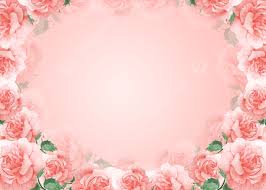 beautiful rose flower background