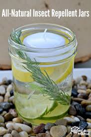 diy natural insect repellent jars