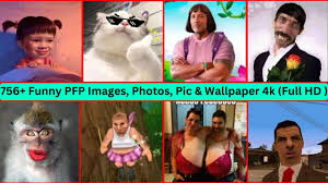 7560 funny pfp images photos pic