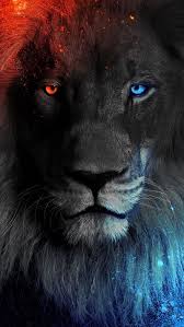 king red face blue colorful eyes