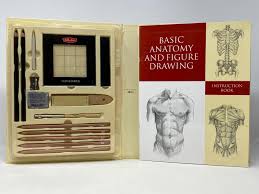 basic anatomy and figure drawing a