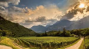Culturally the region is as diverse as its terrain; Drink This The Sparkling Wines Of Italy S Ferrari Trento Drink Insider