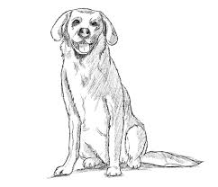 how to draw a dog step by step guide