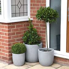 Garden planter zinc metal vintage large bucket plant tree pot outdoor container. Buy Pots And Containers From Coolings Garden Centre