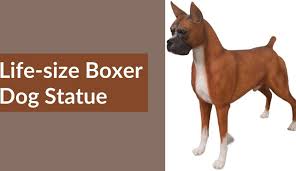 7 Best Life Size Boxer Dog Statue To