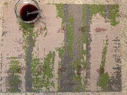 how to get red wine out of carpet every