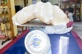 largest pearl emerges in philippines