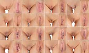 File:Vagina collage 05.jpg - Wikimedia Commons