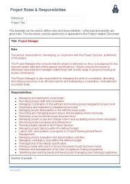 Project Roles And Responsibilities Template Ape