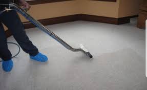 carpet cleaning parthenon home