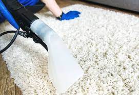 cleaning carpets and rugs