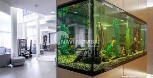 Creative Fish Tank And Aquarium Designs