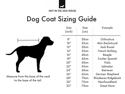 Dog Coat Size Guide Choose The Right Size Coat For Your Dog