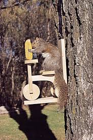 tricycle squirrel feeder woodworking
